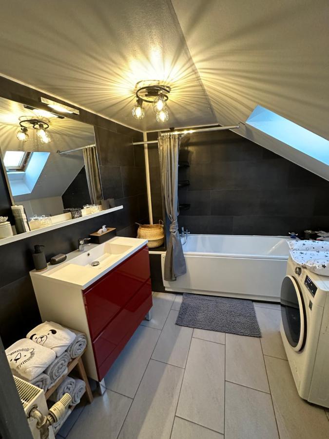 Le Cocon De Marckolsheim Proche Europapark Apartman Kültér fotó