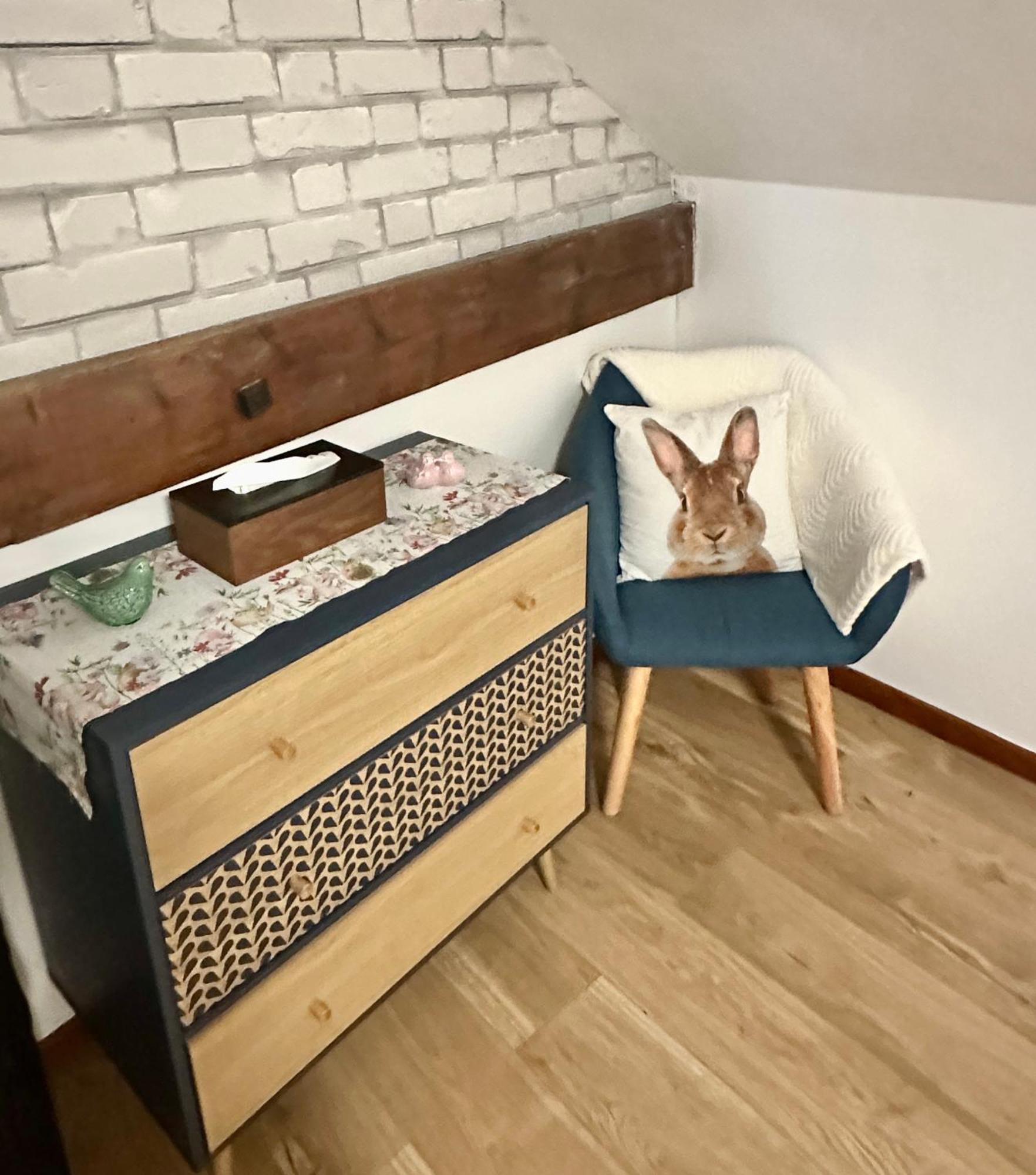 Le Cocon De Marckolsheim Proche Europapark Apartman Kültér fotó